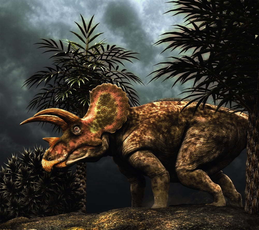 Triceratops was a herbivorous dinosaur from the Cretaceous period Canvas Art - Philip BrownlowStocktrek Images (30 x 27)