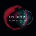 thumbnail image 1 of Trichome - Unknown Prophet - Music & Performance - CD, 1 of 1