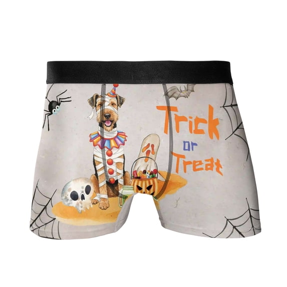 Trick or Treat Airedale Terrier Funny Mummy Cosplay Pumpkin Candy Basket All Over Print Boxer Briefs Underwear for Men Dad Dale Waterside Dog Lover - 12016