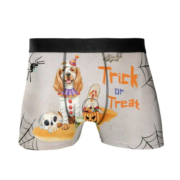 Trick or Treat Cocker Spaniel Funny Mummy Cosplay Pumpkin Candy Basket All Over Print Boxer Briefs Underwear for Men Dad Cockers Dog Lover Gifts - 12016