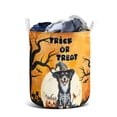thumbnail image 1 of Trick or Treat Miniature American Shepherd Needs Candy Happy Halloween Night Foldable Laundry Basket MAS Dog Lover Gifts Organizer Storage with Handles - 02020, 1 of 5