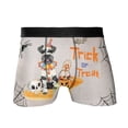 thumbnail image 1 of Trick or Treat Schnauzer Funny Mummy Cosplay Pumpkin Candy Basket All Over Print Boxer Briefs Underwear for Men Dad Miniature Schnauzer Dog Lover - 12016, 1 of 6