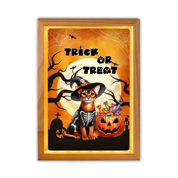 Trick or Treat Abyssinian Needs Candy Happy Halloween Night Acrylic Plaque with Wood Photo Frame Box Cat Lover Kitten Owner Gifts Light Box - 02020