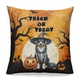 thumbnail image 1 of Trick or Treat Australian Shepherd Needs Candy Happy Halloween Night Pillowcase Double Sided Aussie Dog Lover Gifts Pillow Case Covers - 02020, 1 of 3