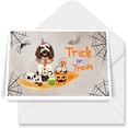 thumbnail image 1 of Trick or Treat Boykin Spaniel Funny Mummy Cosplay Pumpkin Candy Basket 7x5in Folded Greeting Card Dog Lover Single Note Card with Envelope - 12016, 1 of 5