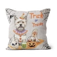 thumbnail image 1 of Trick or Treat Cairn Terrier Funny Mummy Cosplay Pumpkin Candy Basket Pillow Cushion Double Sided Cairns Dog Lover Throw Pillow - 12016, 1 of 4