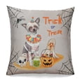 thumbnail image 1 of Trick or Treat Chinese Crested Funny Mummy Cosplay Pumpkin Candy Basket Pillowcase Double Sided Dog Lover Pillow Case Covers - 12016, 1 of 3
