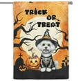 thumbnail image 1 of Trick or Treat Maltese Needs Candy Happy Halloween Night House Flag 28x40in Double Sided Maltese Dog Lover Gifts Idea Outdoor Decor - 02020, 1 of 5