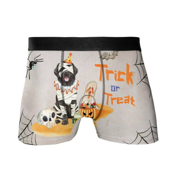 Trick or Treat Newfoundland Funny Mummy Cosplay Pumpkin Candy Basket All Over Print Boxer Briefs Underwear for Men Dad Newfie Dog Lover Gifts - 12016