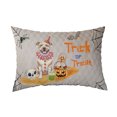 thumbnail image 1 of Trick or Treat Pitbull Funny Mummy Cosplay Pumpkin Candy Basket Quilt Pillowcase Terrier Dog Lover Throw Pillow Cover Bed Home Decor - 12016, 1 of 5