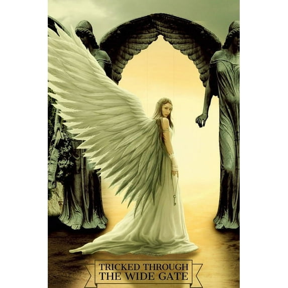 Tricked Through The Wide Gate (Paperback)