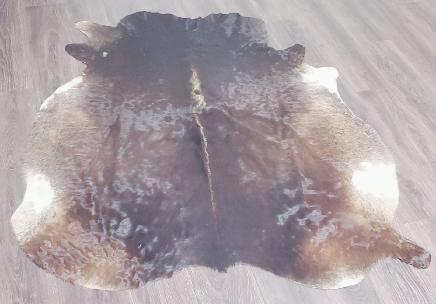 Tricolor Cow Skin Area Rug Hair on Leather Hide 5 ft X 5 ft - 25 x 25 ...