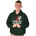 thumbnail image 1 of Tried It Home Nerd Science Project Hoodie Sweatshirt Women Men Brisco Brands 3X, 1 of 5