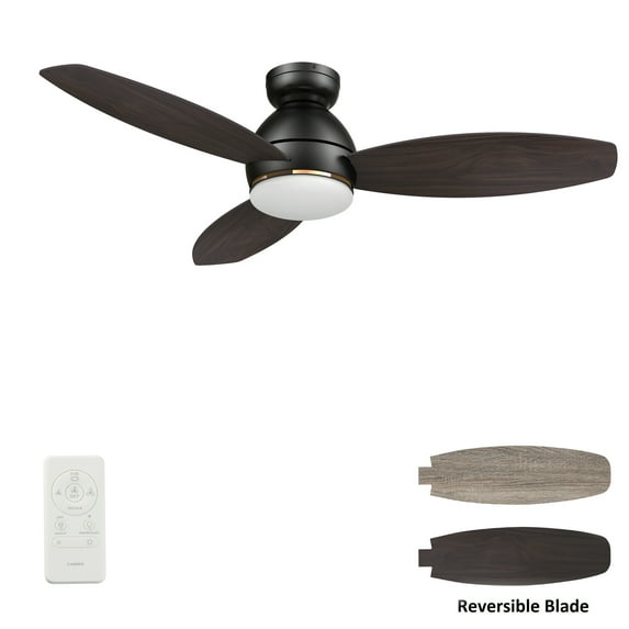 Trifectet 48" Smart Ceiling Fan with Dim Light and Remote Control