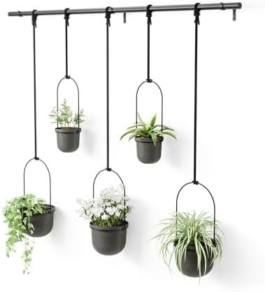 Triflora Hanging Planter for Window, Indoor Herb Garden, Set of 5, Black