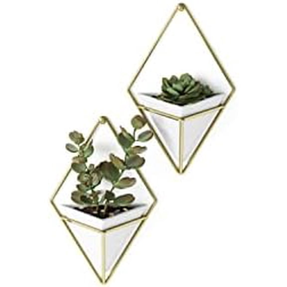 Trigg Hanging Planter Vase Wall Decor, Set of 2 Pots Containers for Succulents, Cactus, Faux Plants, and More, Small, White/Brass