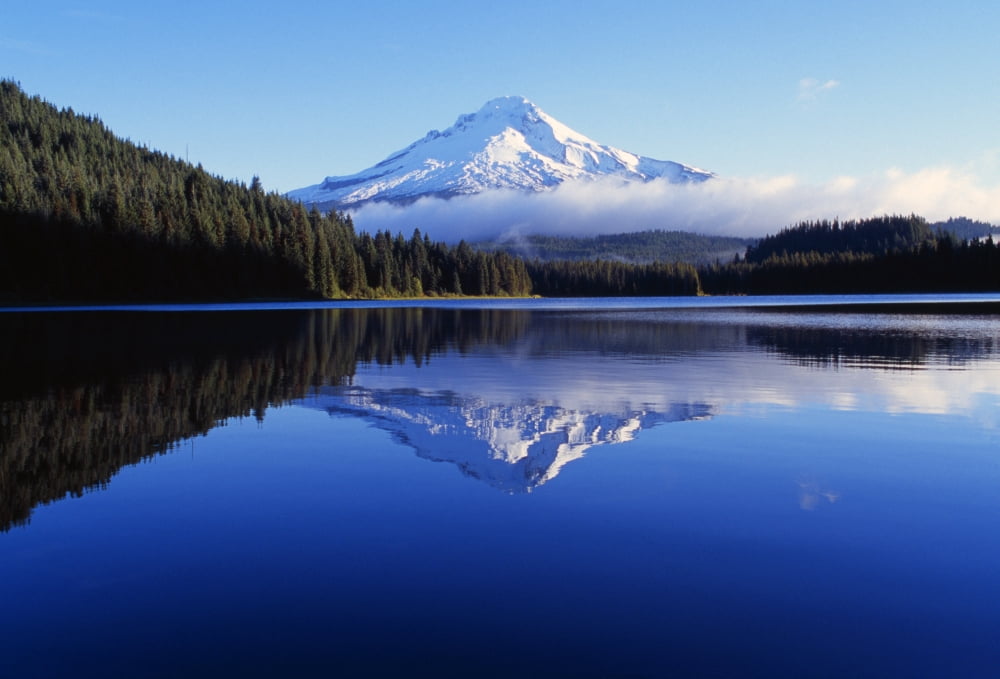 Trillium Lake With Reflection Of Mount Hood Mount Hood National Forest Canvas Art - Dan Sherwood Design Pics (18 x 12)