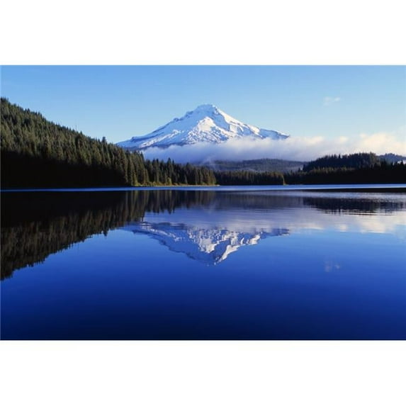 Trillium Lake With Reflection Of Mount Hood Mount Hood National Forest Poster Print