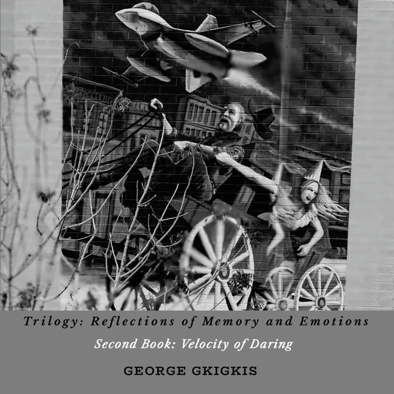 Trilogy: Reflections of Memory and Emotions- Second Book: Velocity of Daring: Second Book: Velocity of Daring, (Paperback)