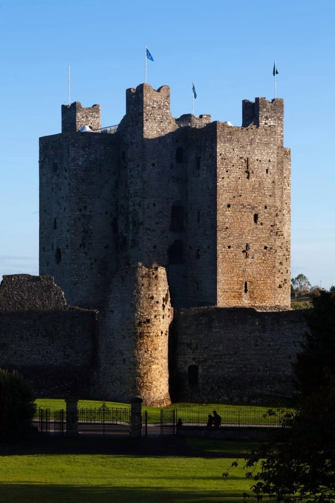 Trim Castle Trim County Meath Ireland Canvas Art - Panoramic Images (27 x 9)