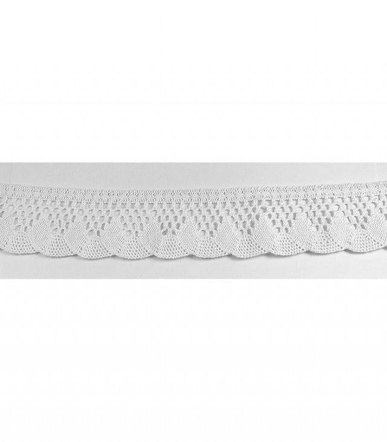 Trimplace White 2 1/4" Wave Cluny Lace