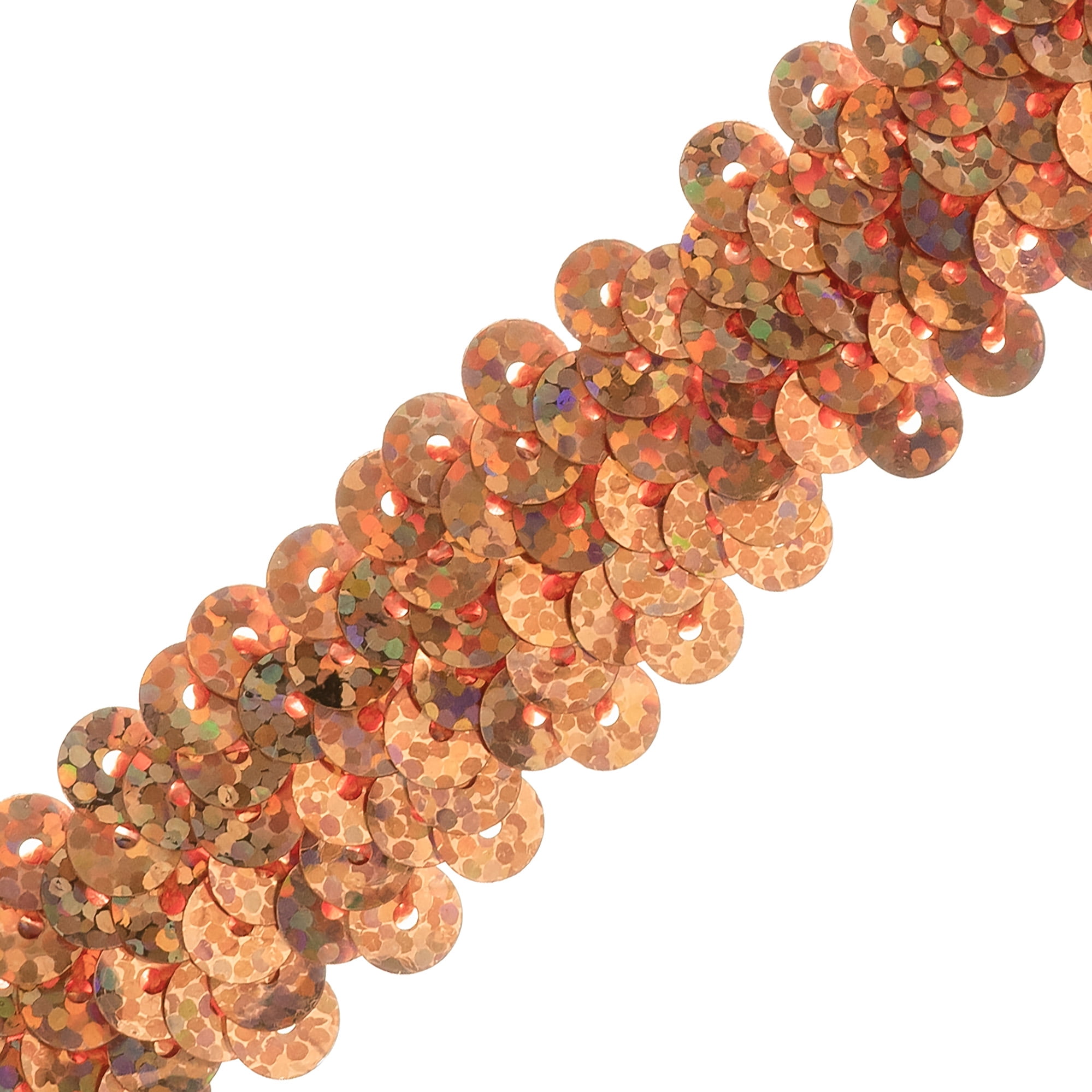 Trims by the Yard 2Row Starlight Hologram Sequin Stretch Trim, 7/8