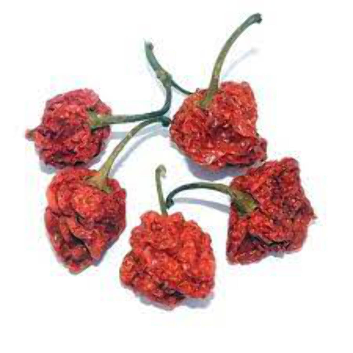 Trinidad Scorpion Chili Peppers, Dried