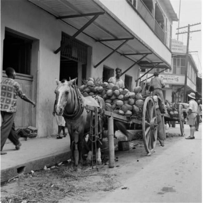 Trinidad & Tobago Trinidad Coconuts On Horsedrawn Carts Poster Print