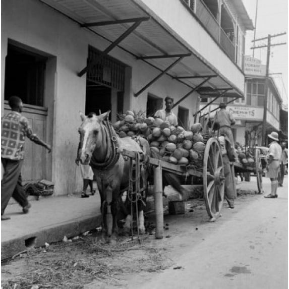 Trinidad and Tobago, Trinidad, Coconuts on horsedrawn carts Poster Print (18 x 24)
