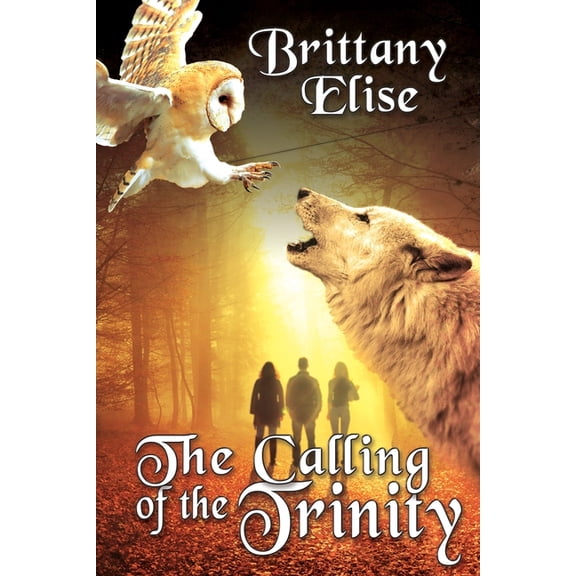 Trinity Cycle The Calling of the Trinity, Book 2, (Paperback)