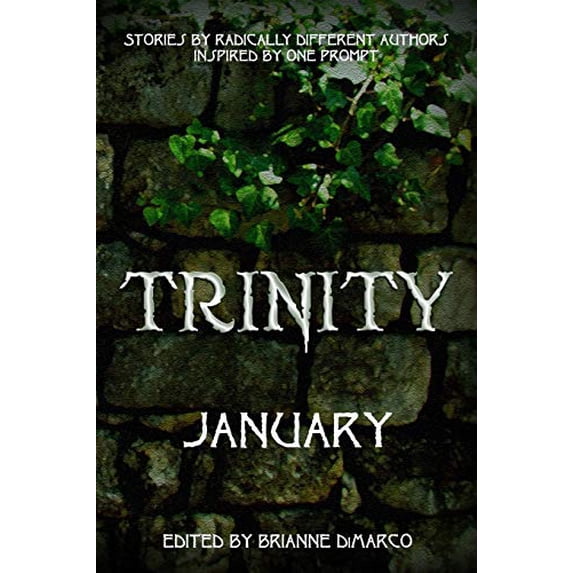 Pre-Owned Trinity: January Paperback