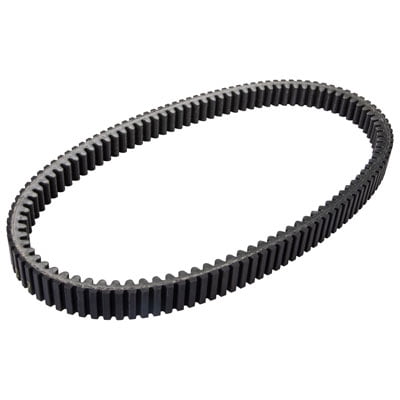 Trinity Racing Worlds Best Drive Belt