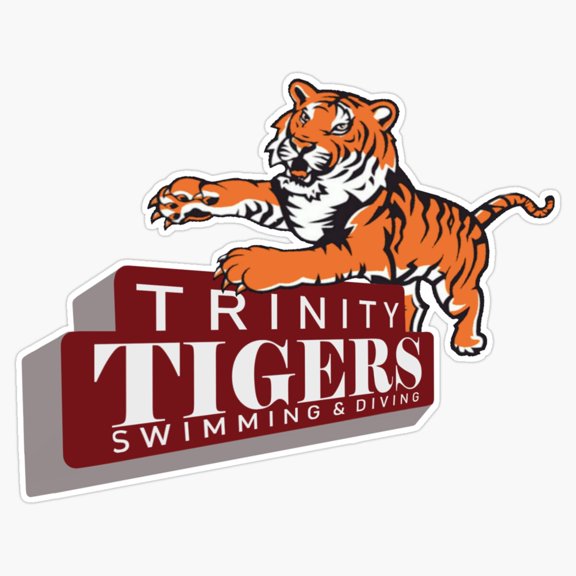 Trinity Swim Dive College Campus Varsity Team Sticker
