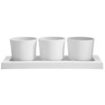 thumbnail image 1 of Trio Flight Casper White Planter Set W/ 3 Planters & Rectangle Saucer Tray, 1 of 9