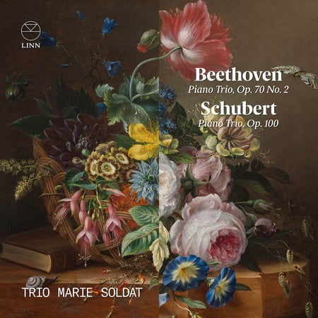 Trio Marie Soldat - Piano Trio 70 2 - Music & Performance - CD