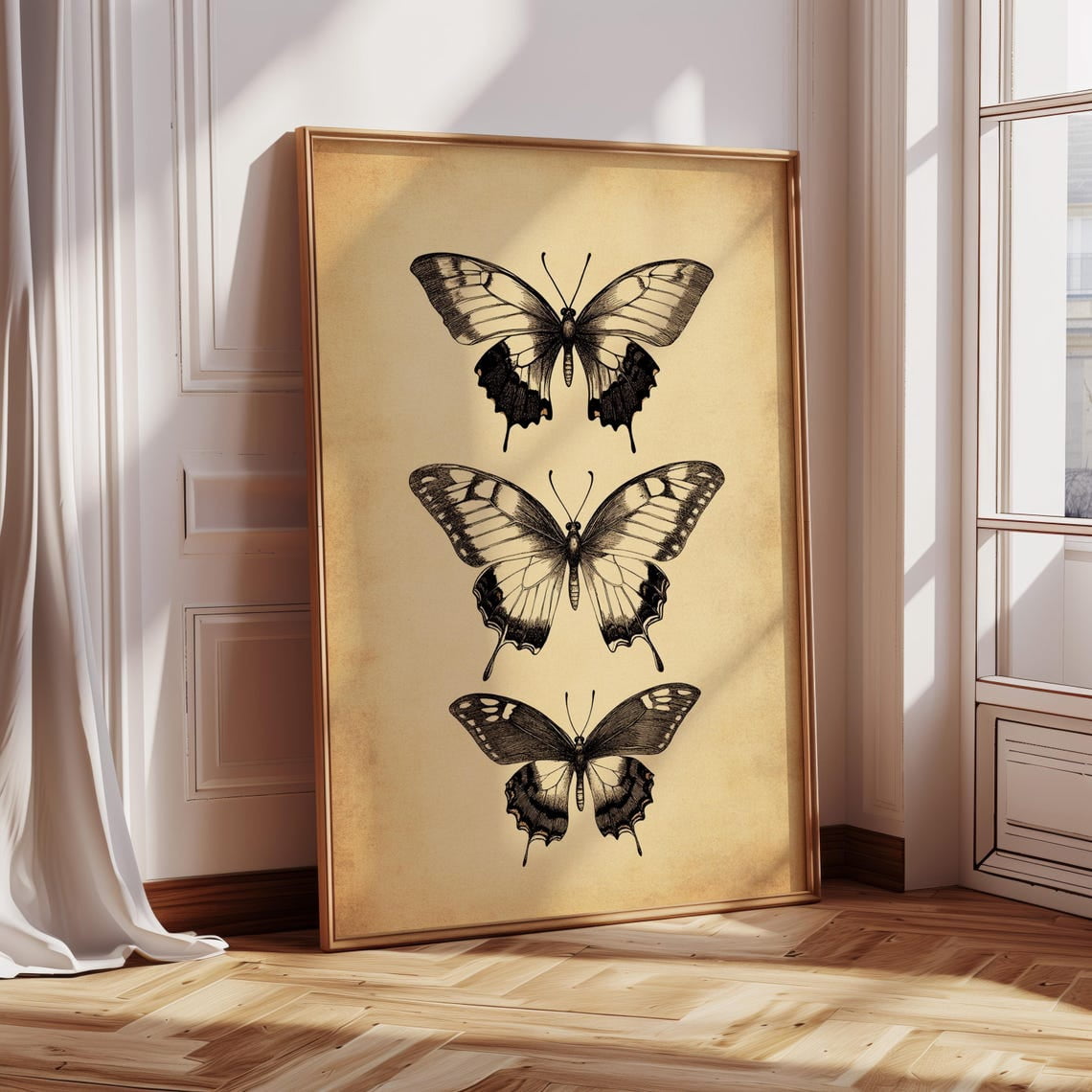 Trio Of Vintage Butterfly Prints – Antique Insect Illustration Wall Art ...