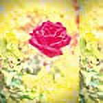 Trip [Limited Yellow Colored Vinyl]