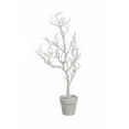 thumbnail image 1 of Tripar 31 in. Twig Tree, Cream White, 1 of 5