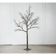 thumbnail image 1 of Tripar Deadwood Twig Tree - Natural - Medium, 1 of 5
