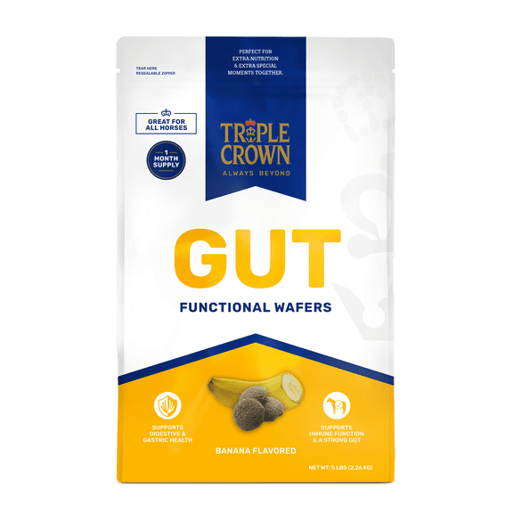 Triple Crown Gut Wafers, Functional Horse Wafers, Horse Gut Supplement, Leaky Gut Support, 5 lbs