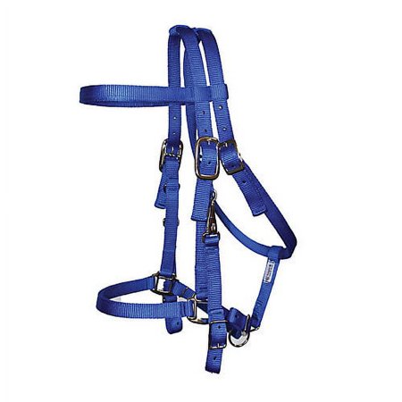 Triple E Nylon Halter Trail Bridle Blue