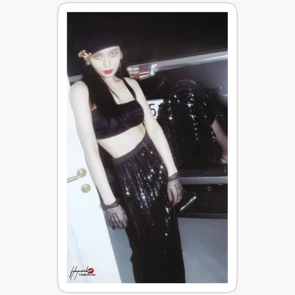 Triple H Hyuna Photo Sticker Phone Decal Water Bottle Stickers Car Decals, Laptop Sticker