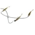 thumbnail image 1 of Berkley Triple Minnow Rig Kit, 3in, Tennessee Shad, 1 of 5