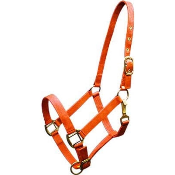 Triple Ply Nylon Western Horse Halter w/ Brass Hardware (Orange)