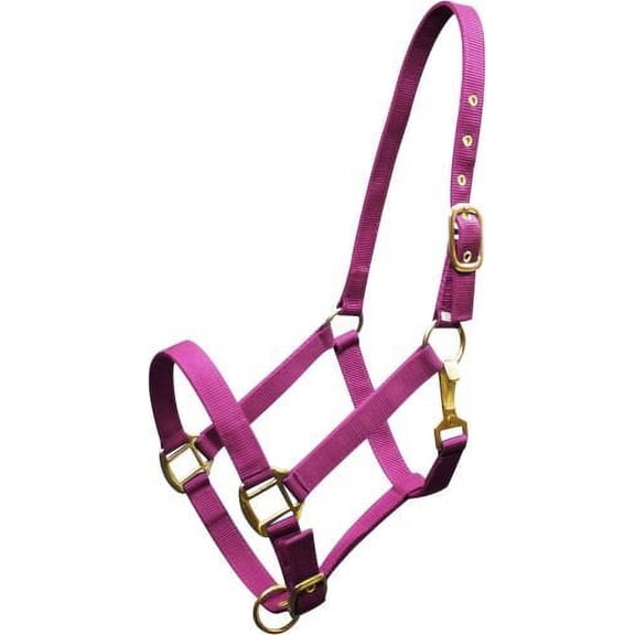 Triple Ply Nylon Western Horse Halter w/ Brass Hardware (Pink)