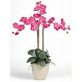thumbnail image 1 of Triple Stem Phalaenopsis Silk Orchid Arrangement, 1 of 2