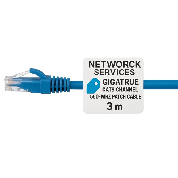 Triplenet Pricing High-Performance Gigatrue Cat6 Channel Patch Cable 550 MHz Network Services Heavy-Duty Ethernet LAN Cable Over 1 LB for Reliable Data Transmission EVNSL6410003