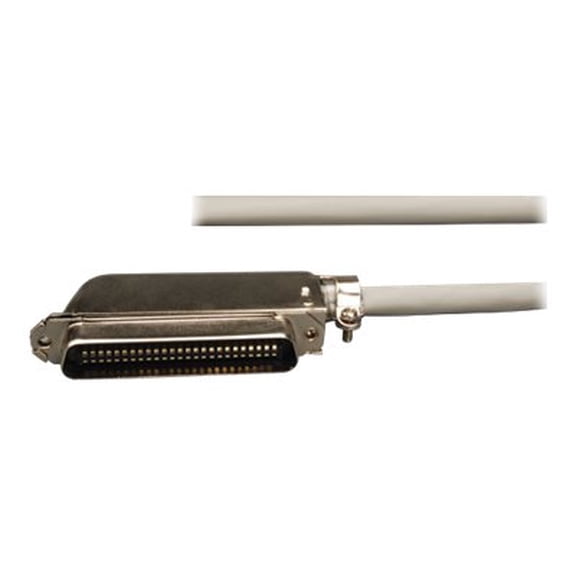 Tripp Lite 25ft Cat3 25-Pair Telco Cable 26AWG UTP RJ21 M to Open End 25' - Network cable - bare wire to 50 pin Telco (M) - 25 ft - UTP - CAT 3 - solid