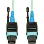 Tripp Lite MTP / MPO Patch Cable 100GBASE-SR10, CXP, 24 Fiber, 100GbE OM3 Plenum-rated - Aqua, 10M (33-ft.)(N846-10M-24-P)
