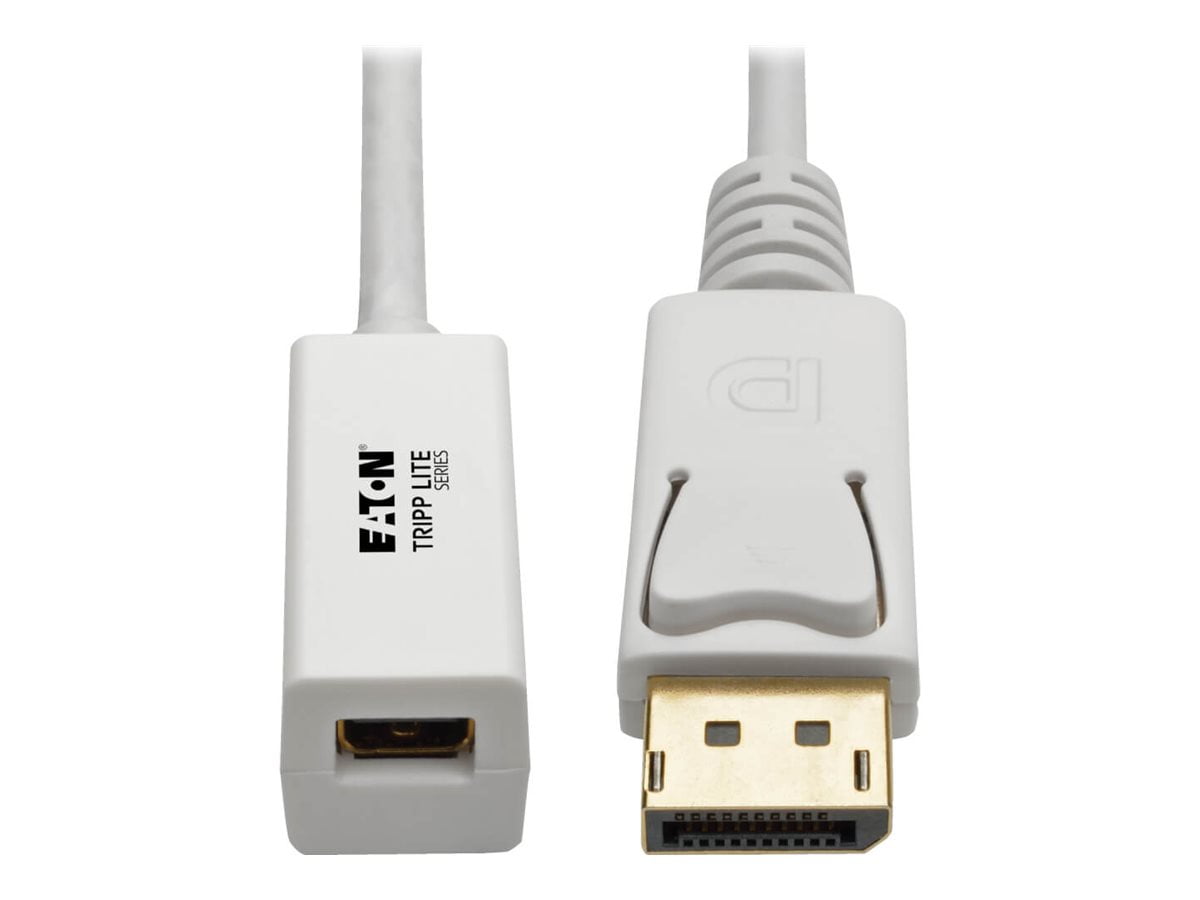 Tripp Lite 6" DisplayPort to Mini DisplayPort Cable Adapter (M/F)